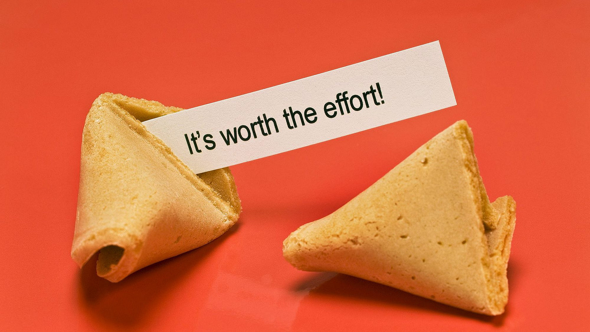 צילום: shutterstock צילום: shutterstock