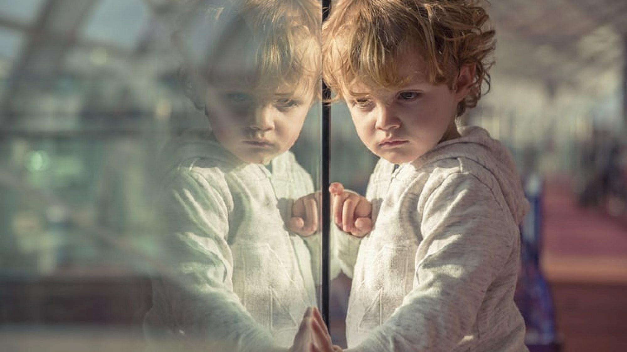 צילום: Unsplash,Jhonny Cohen