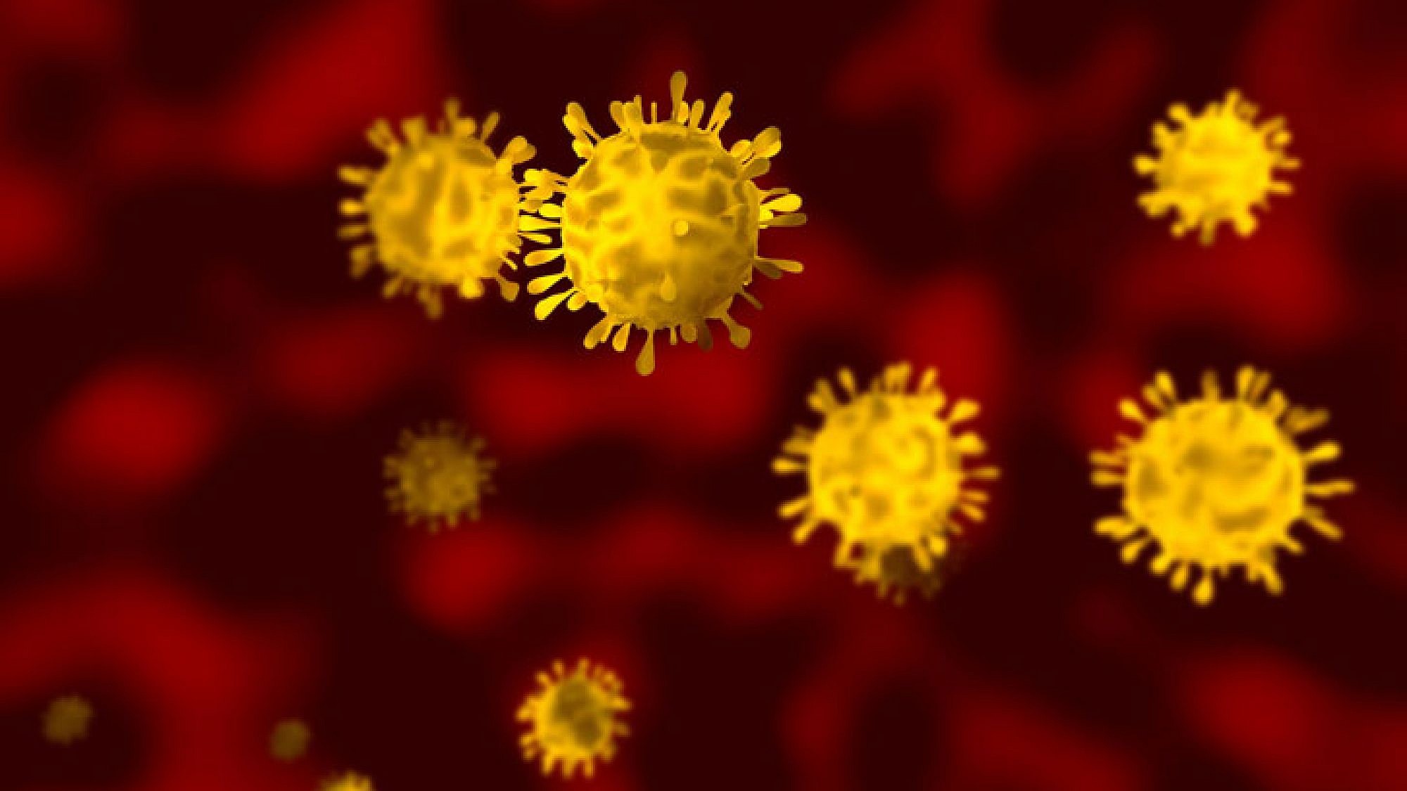 נשאי נגיפי ה-HPV לרוב אינם חשים בכך ובמרבית המקרים מערכת החיסון של גופם מתגברת על הנגיפים באופן ספונטני | צלם: א.ס.א.פ קריאייטיב |  DTKUTOO, shutterstock