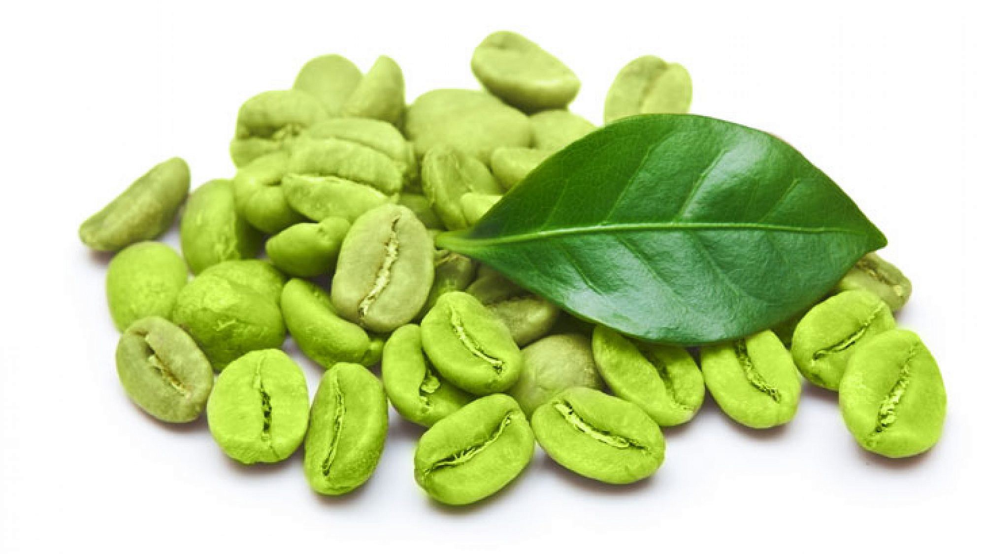 כל מה שרציתם לדעת על קפה ירוק | צלם: שאטרסטוק/ Shutterstock