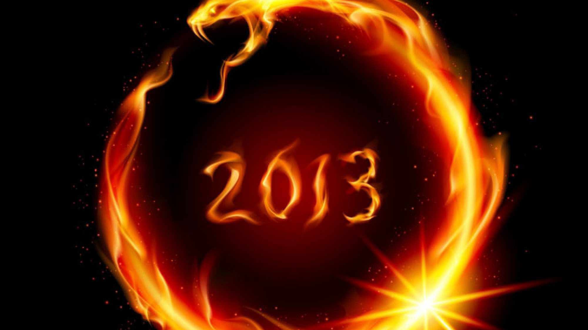 שנת 2013 היא שנת הנחש | צלם: א.ס.א.פ קריאייטיב | dvarg - Fotolia.com