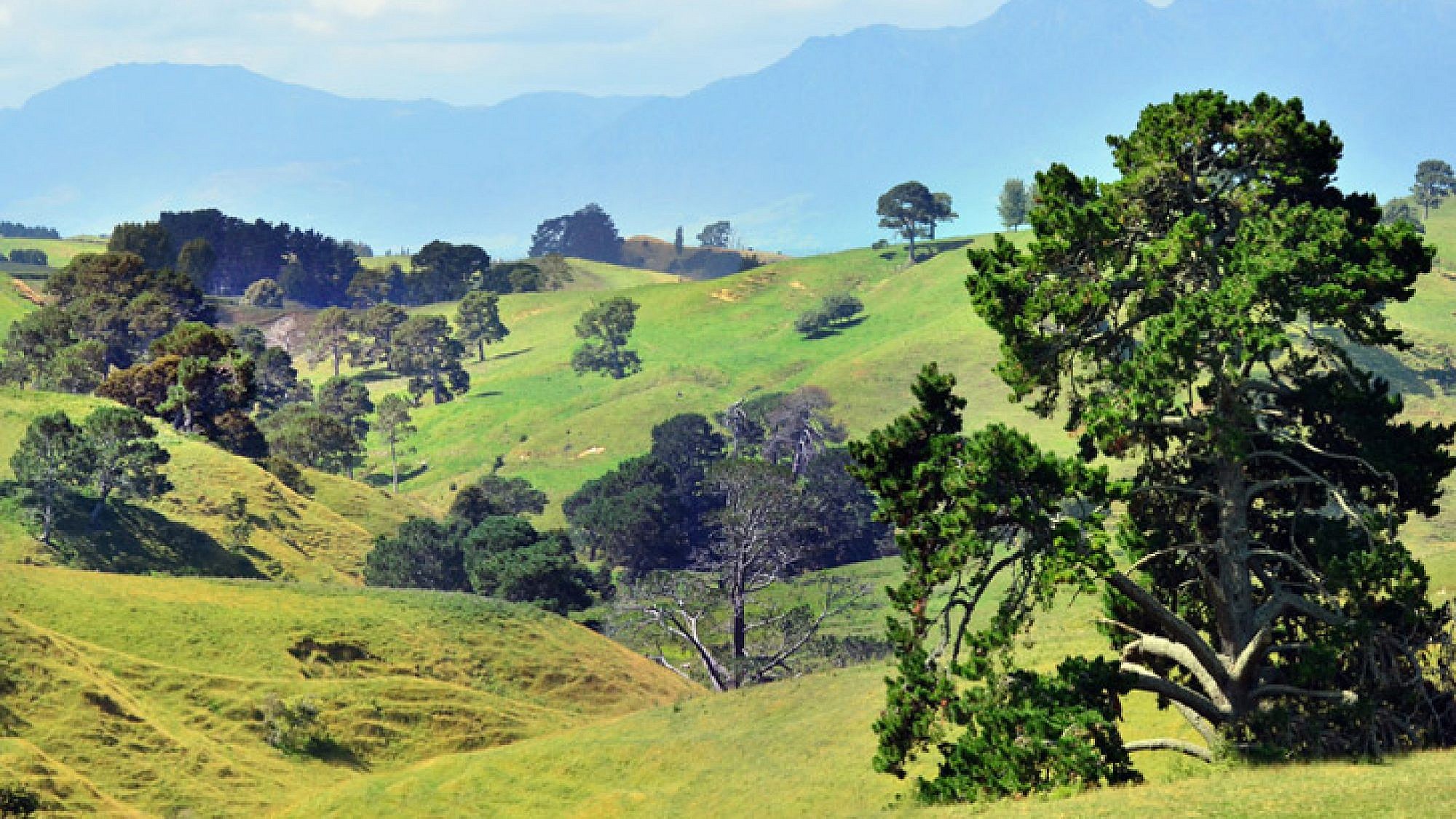 מטהמטה - סיור בעקבות ההוביטים | צלם: שאטרסטוק