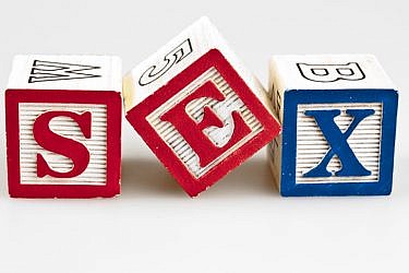 צעצועי הסקס של היום הם לא צעצועי הסקס של פעם... | צלם: א.ס.א.פ קריאייטיב | FuzzBones, Shutterstock