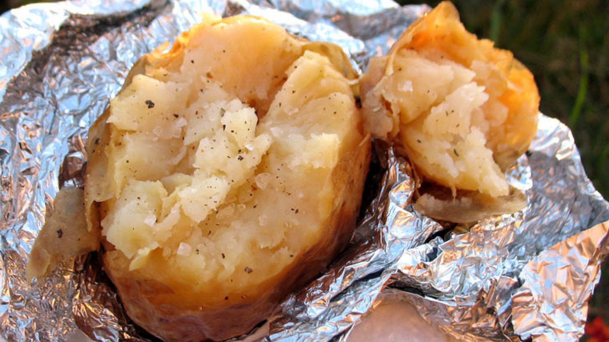 צלם: אסתי ידידיה