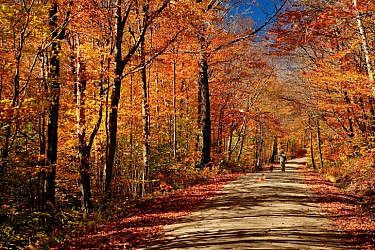 אין כמו ורמונט  בסתיו | צלם: א.ס.א.פ קריאייטיב | B Brown , Shutterstock