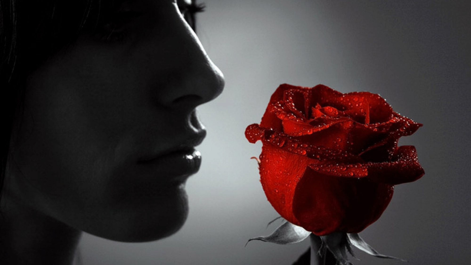 צלם: א.ס.א.פ קריאייטיב | Iurii Davydov, Shutterstock