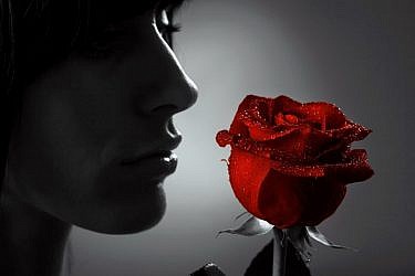 צלם: א.ס.א.פ קריאייטיב | Iurii Davydov, Shutterstock