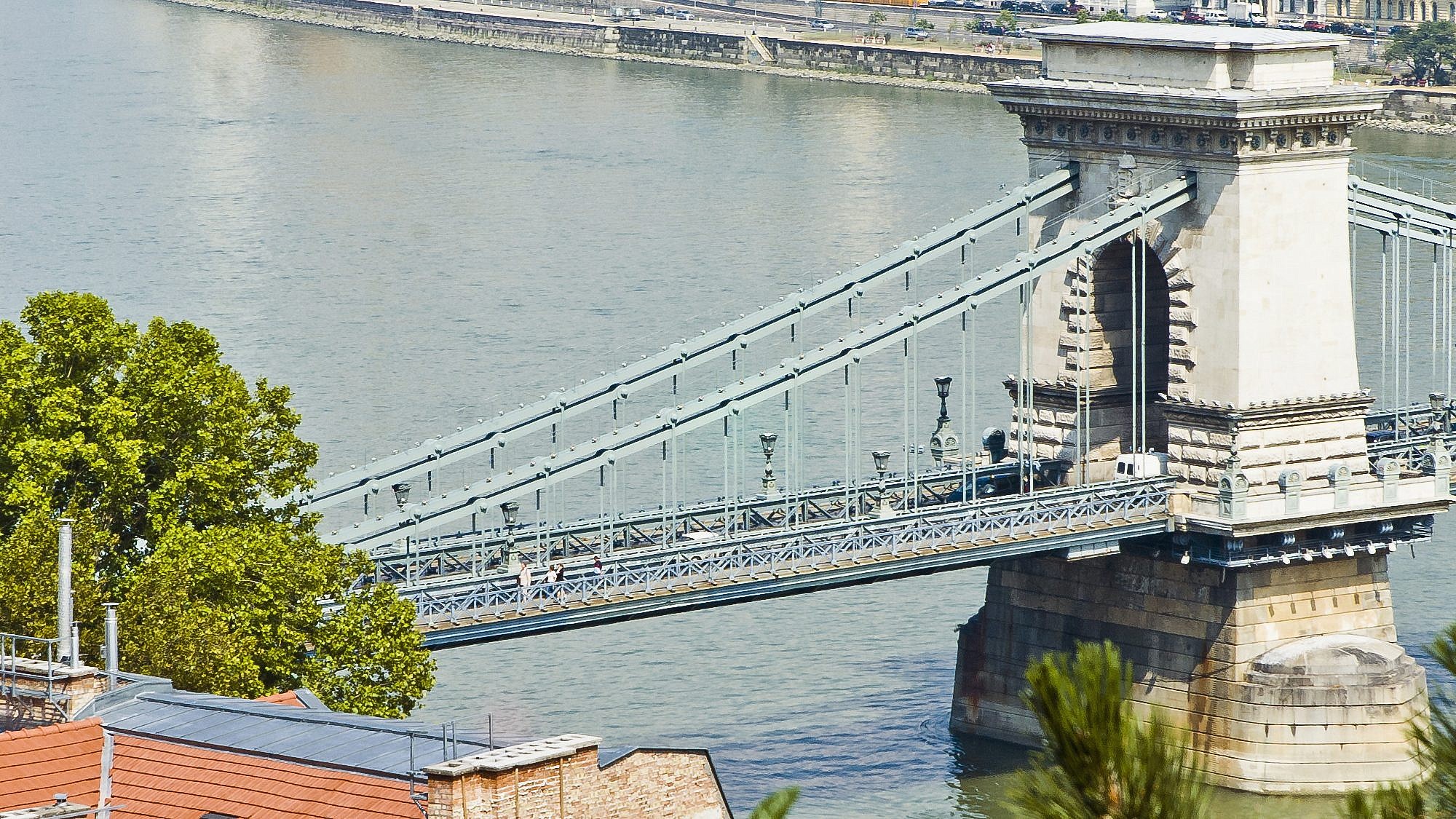 ס | צלם: תם ס | צלם: תם