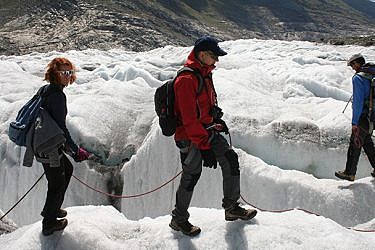 צועדים בטור, קשורים בחבל. קרחון אלטש, הרי האלפים צילום: משה גלעד