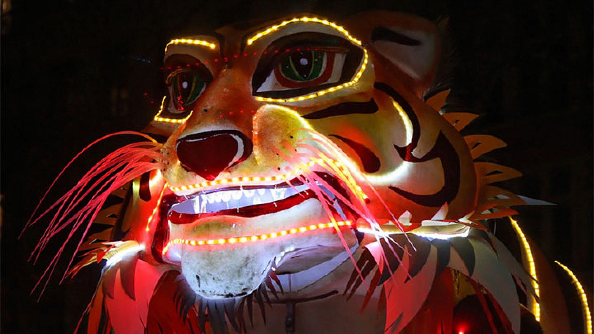אחד ממייצגי התאורה בפסטיבל האורות של ליון. צילום: Shutterstock