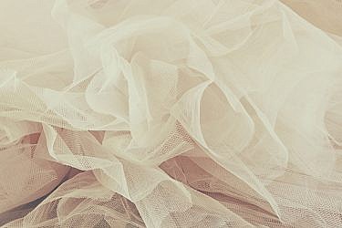 פרוייקט החתונות הגדול: הטיפים הסודיים לחתונה מושלמת | צילום: shutterstock