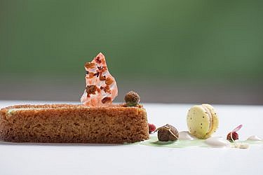 עוגת סולת רכה עם רוטב פיסטוק, קצפת בהרט ונוגטין פיסטוקים במי זהר | צילום: נמרוד סונדרס