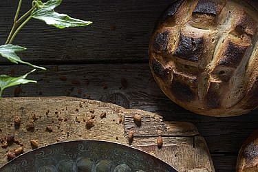 לחם יוגורט וחומץ | צילום: אנטולי מיכאלו