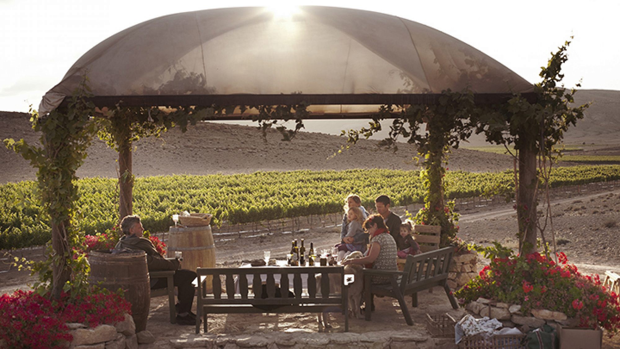 חוות היין ננה: אחד המקומות המרתקים בארץ | צילום: שרון דרעי