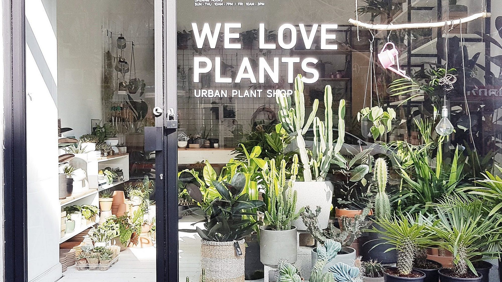 We Love Plants | צילום: חן עטר