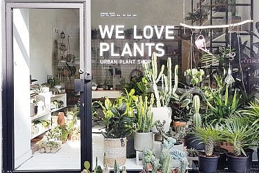 We Love Plants | צילום: חן עטר