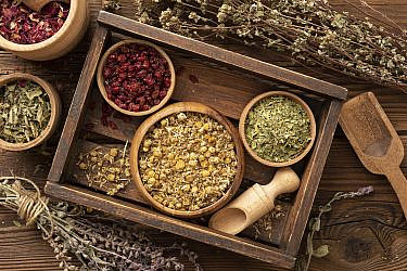 צמחי מרפא | צילום: Freepik