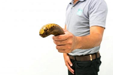 צילום: shutterstock