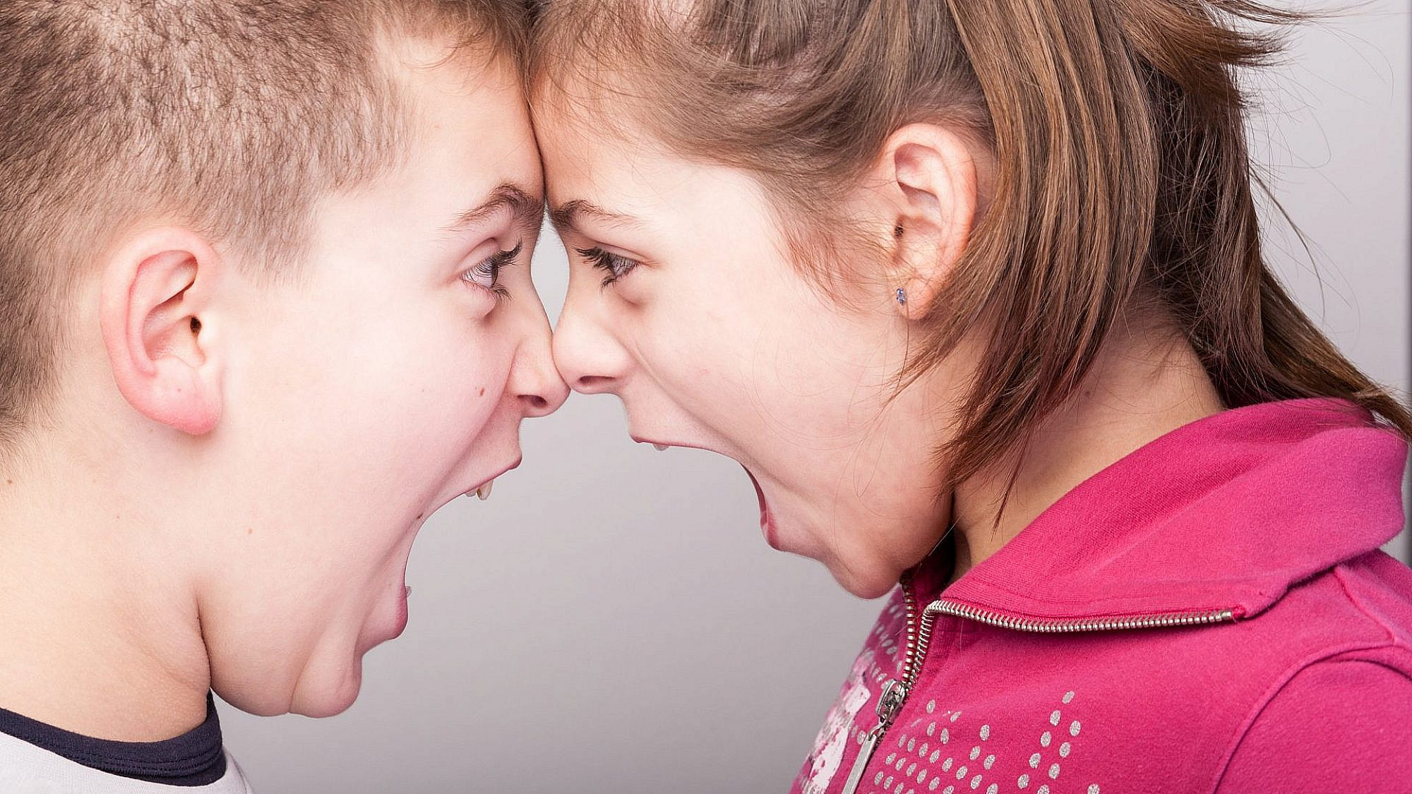 צילום: shutterstock צילום: shutterstock
