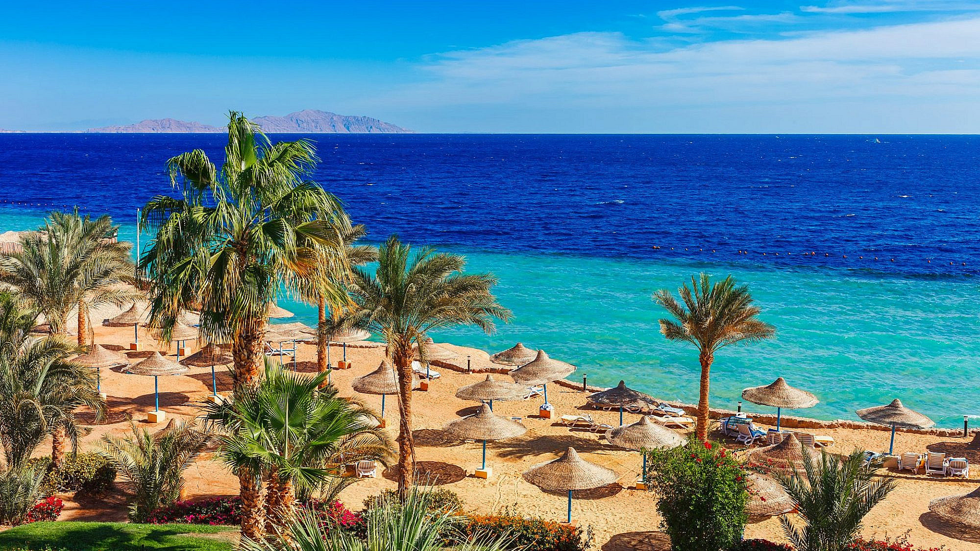 צילום: shutterstock