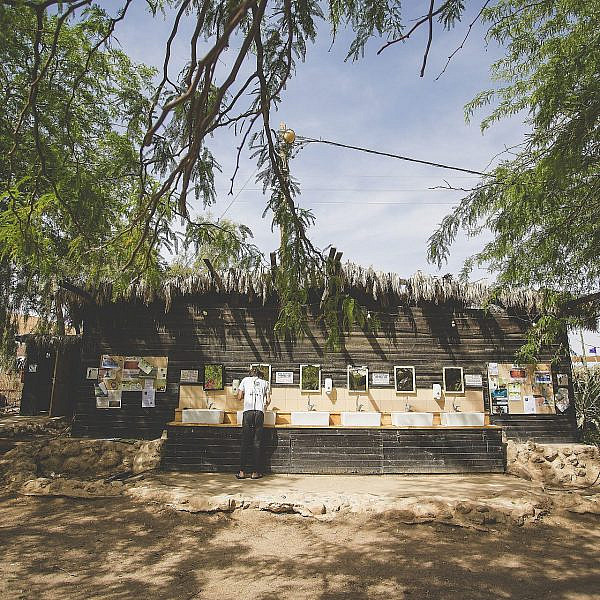 אשרם במדבר | צילום: תומר טרייבש