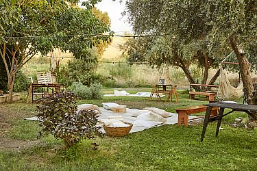 פיקניק ברוטנברג (צילום: אפיק גבאי)