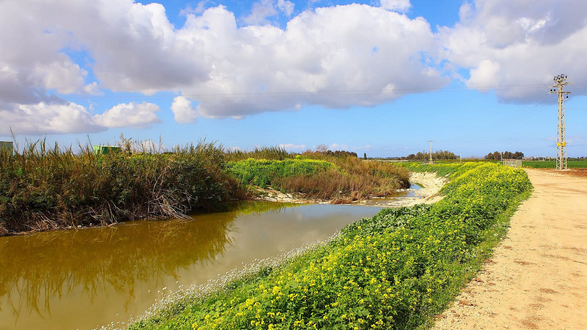 תמיד בא בטוב לכולם. טיול בנחל אלכסנדר | צילום: shutterstock תמיד בא בטוב לכולם. טיול בנחל אלכסנדר | צילום: shutterstock