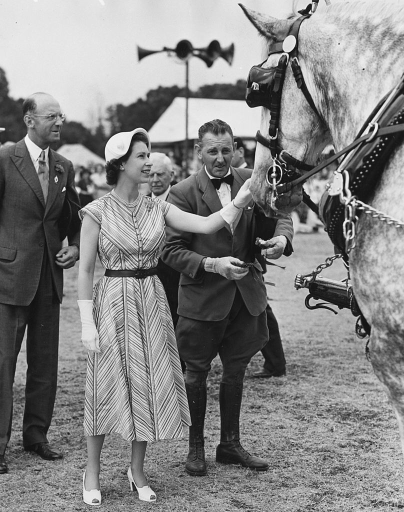 תצוגת הסוסים המלכותית בווינדזור, יולי 1952 | צילום: Keystone/Getty Images