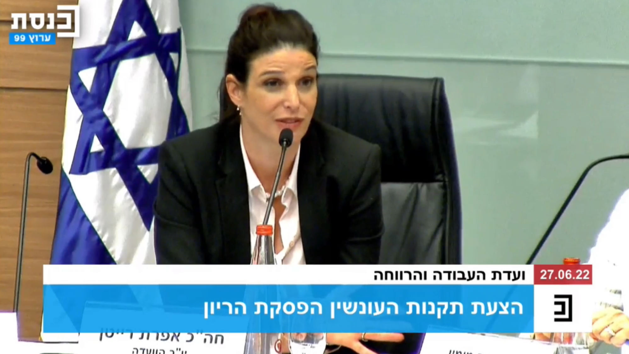 אפרת רייטן בדיון על הקלה בוועדות להפסקת היריון בישראל | צילום מסך: ערוץ הכנסת
