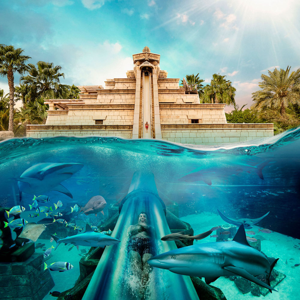 פארק המים הגדול בעולם, במלון אטלנטיס דה פאלם בדובאיי| צילום: יח״צ
