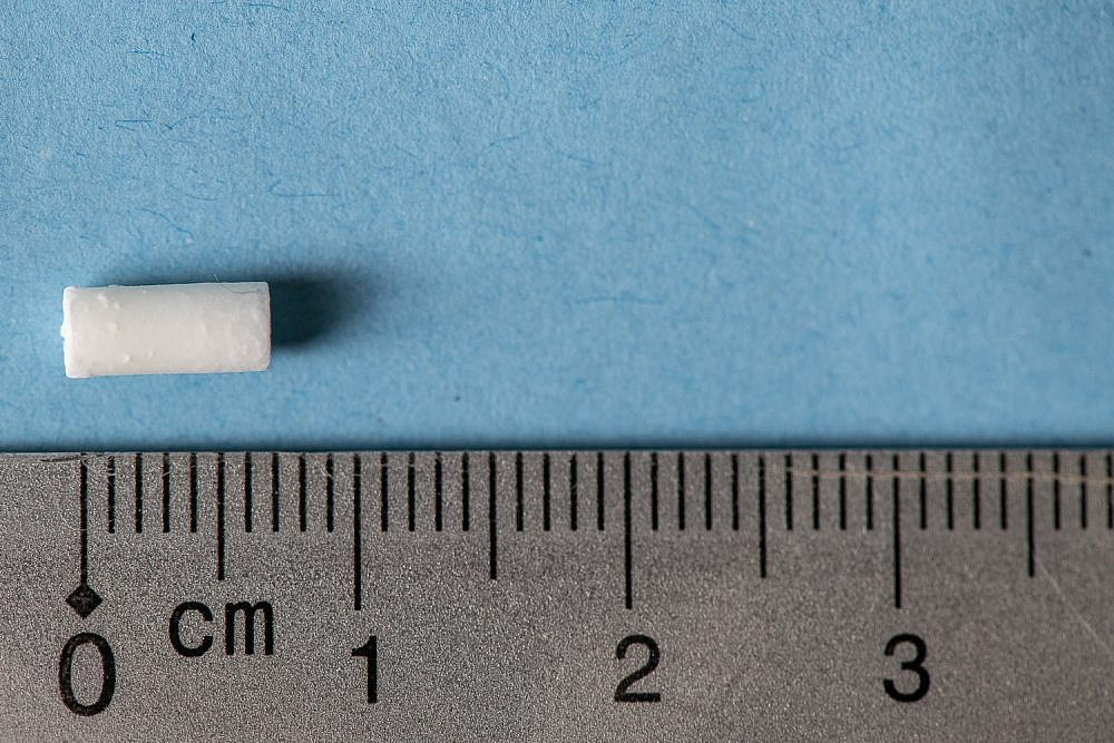 כמוסת ה-Pellets. בגודל של גרגיר אורז | צילום: יח"צ