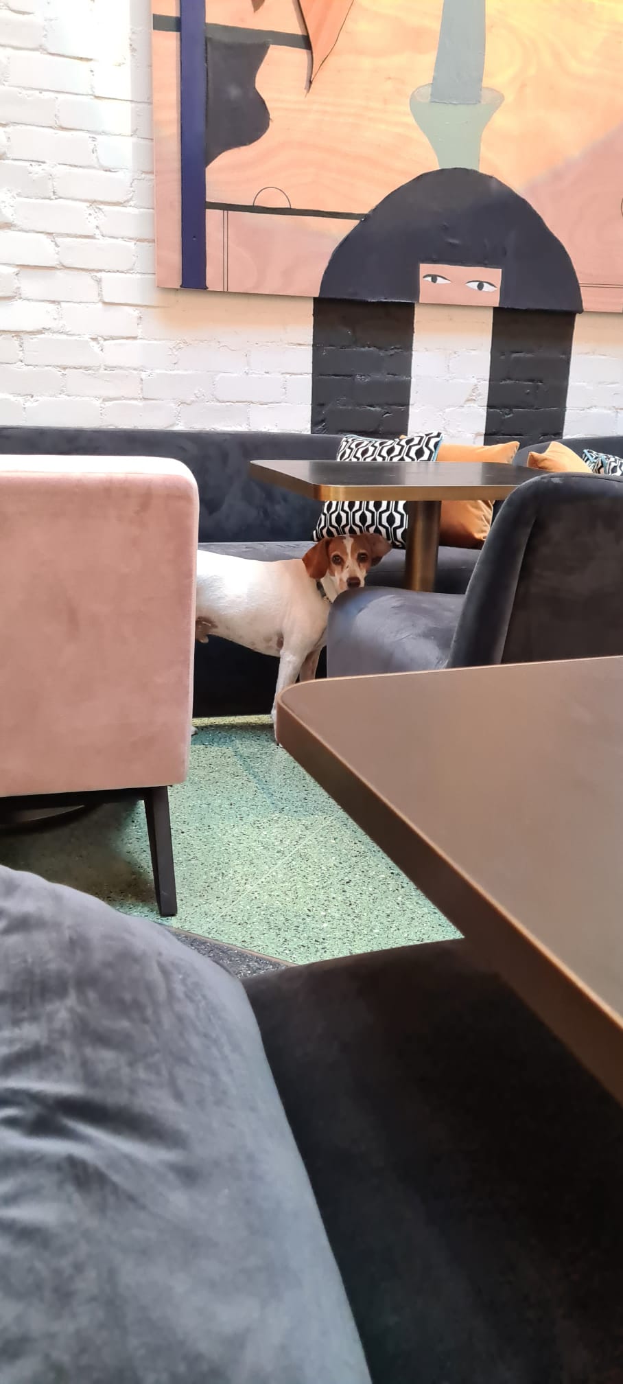 לואיס, סמנכ"ל המלון הלא־רשמי | צילום: שרון בן-דוד