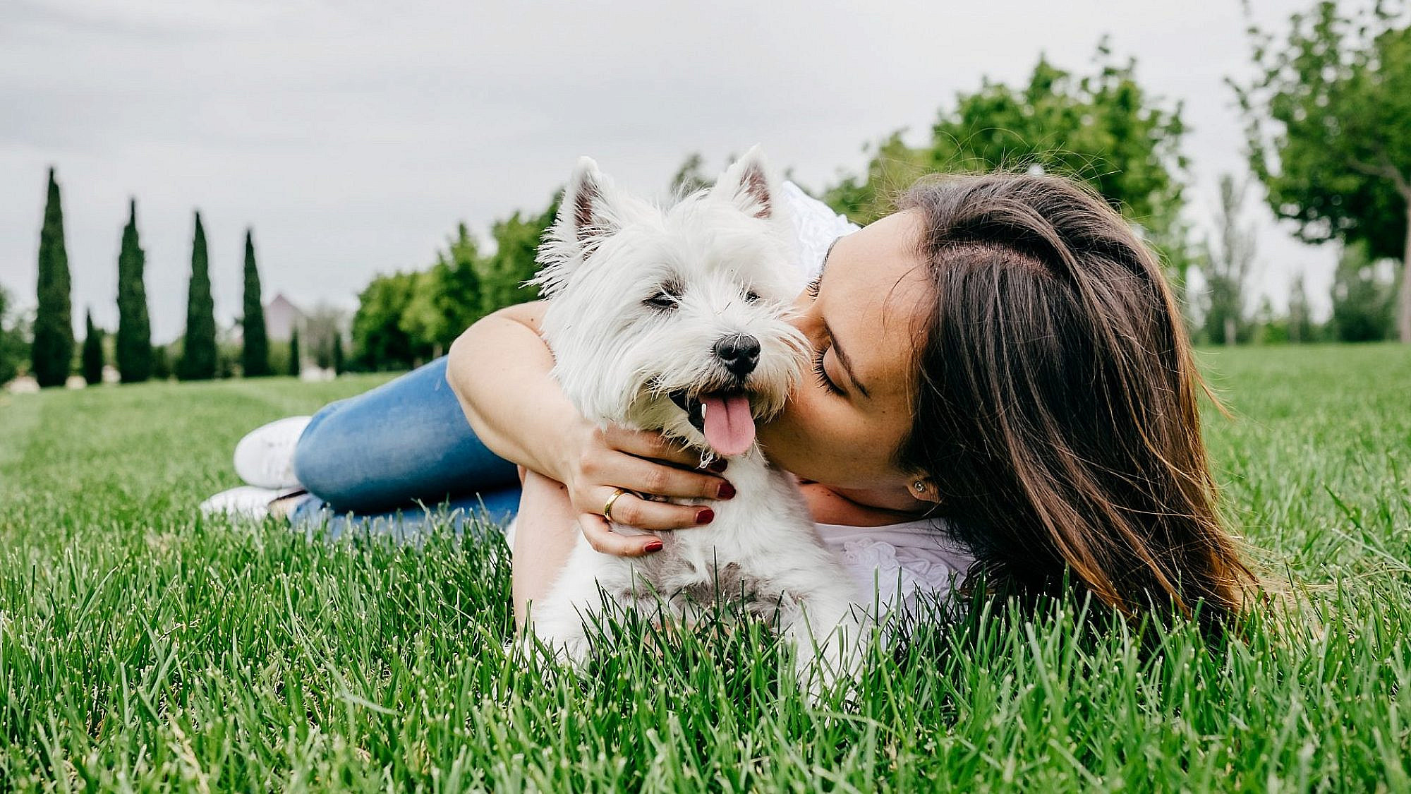 מסלולים ידידותיים לכלבים | צילום: Shutterstock