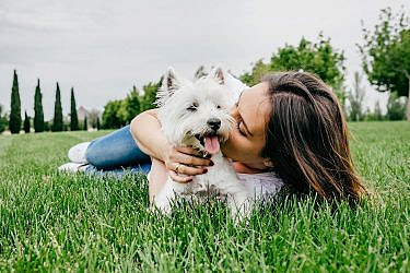 מסלולים ידידותיים לכלבים | צילום: Shutterstock