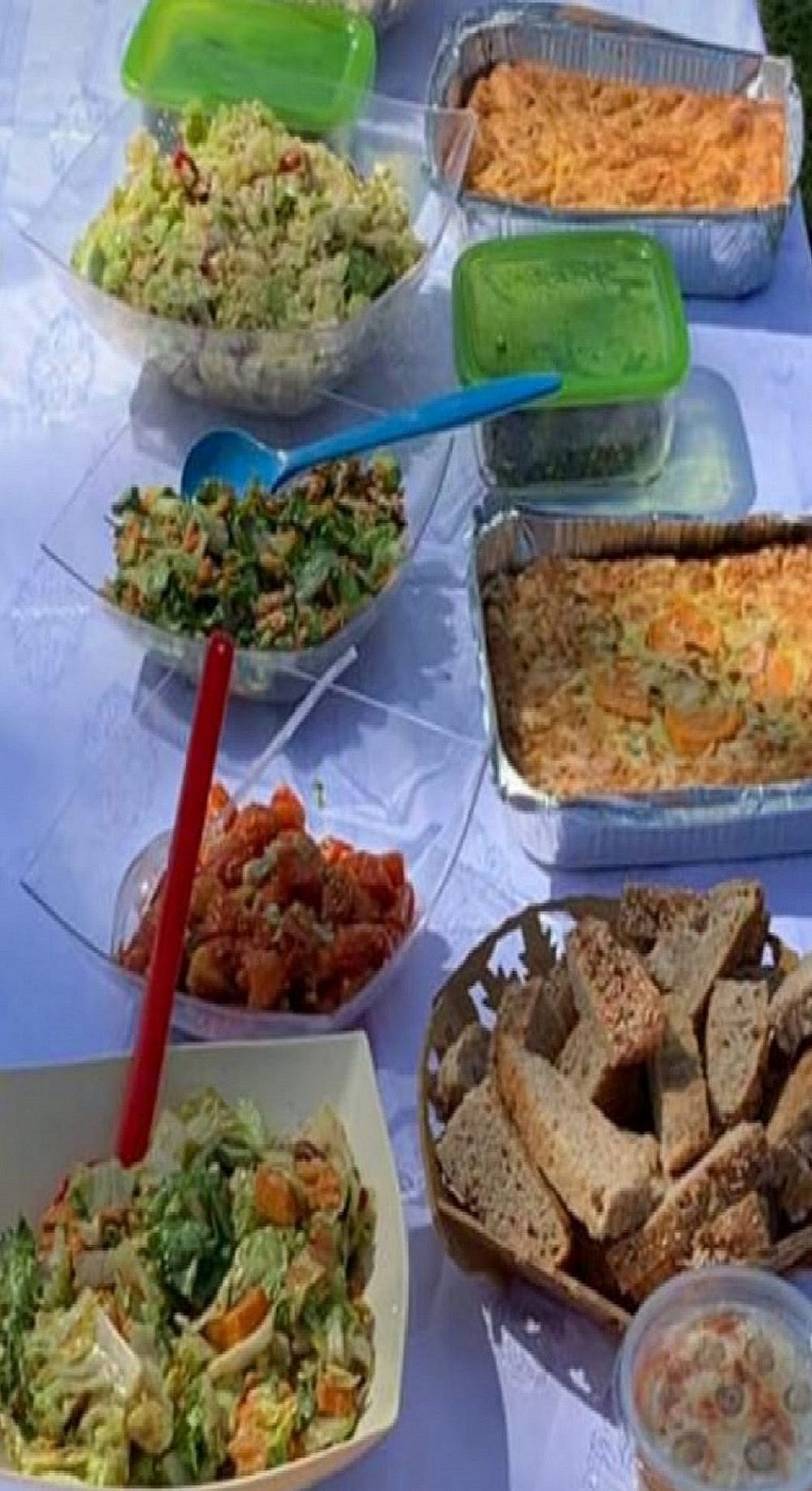 בראנץ' בריאות ביער אשתאול | צילום: יעל ברק