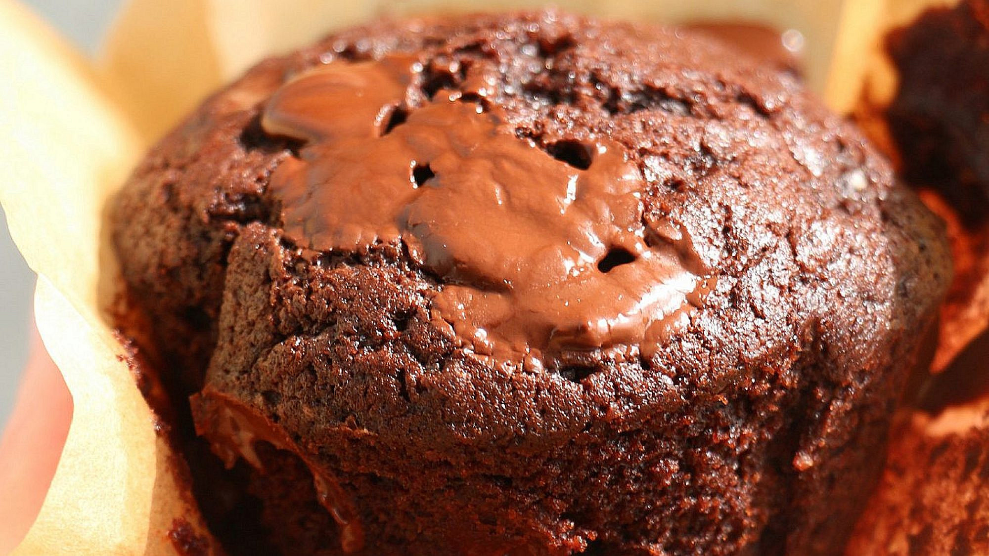 מאפינס דאבל שוקולד של נעמה גאון | צילום: נעמה גאון