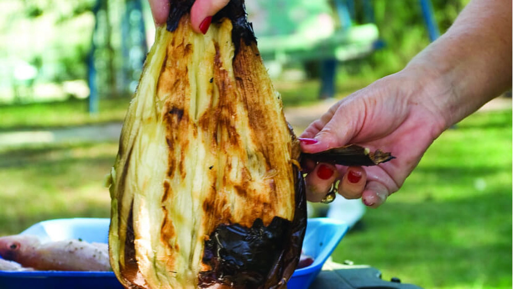 חציל על האש | צילום: רונן מנגן, סגנון: רותם ניר חציל על האש | צילום: רונן מנגן, סגנון: רותם ניר