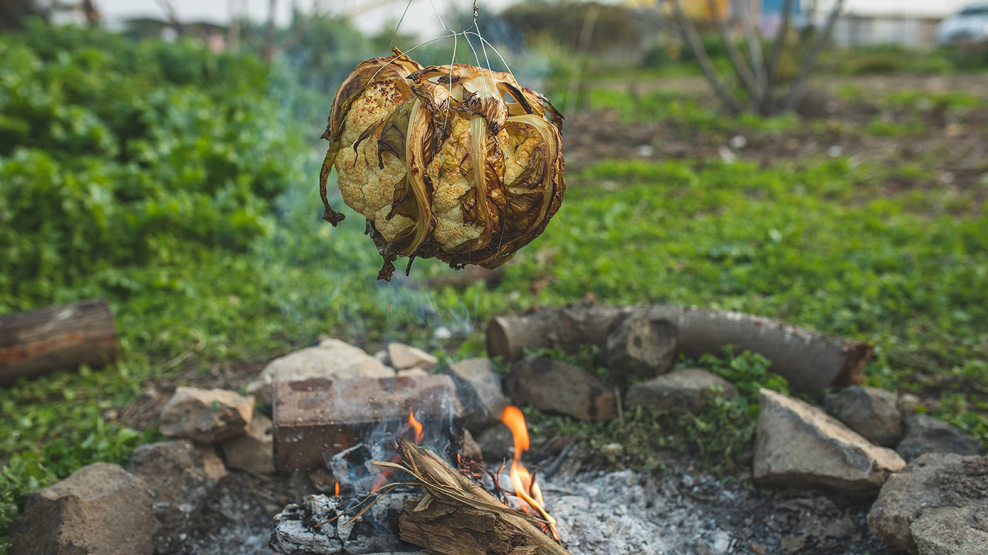 כרובית בתבלינים צלוי על האש של רינת צדוק, לירון גרינברג ונועה לוי | צילום: שני בריל