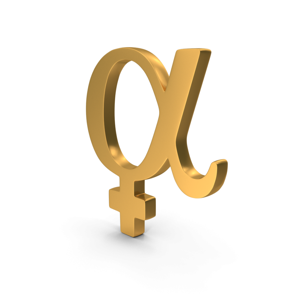 צילום: אנוואט