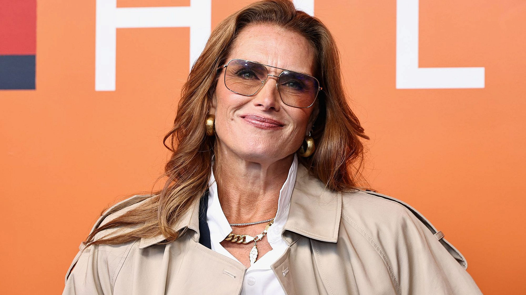 שיר הלל לגנטיקה. ברוק שילדס באה לפרגן לבת שלה בתצוגה של טומי הילפיגר בשבוע האופנה בניו יורק | צילום: Jamie McCarthy/Getty Images