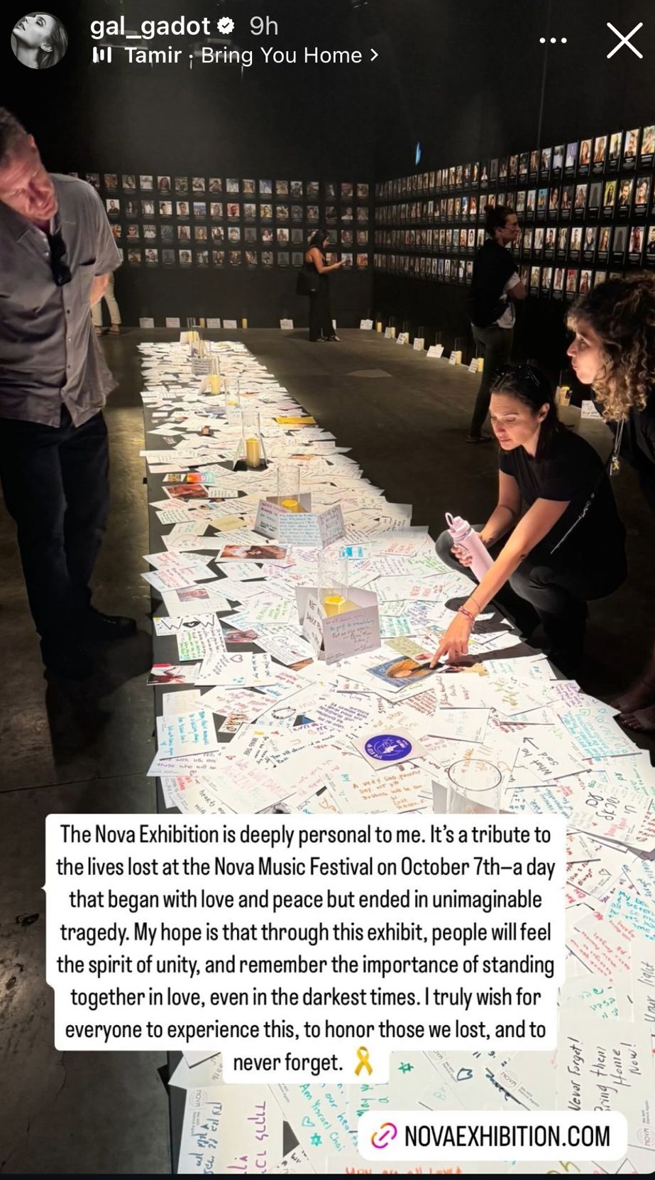 מתוך הסטורי של גל גדות | צילום: אינסטגרם gal_gadot@