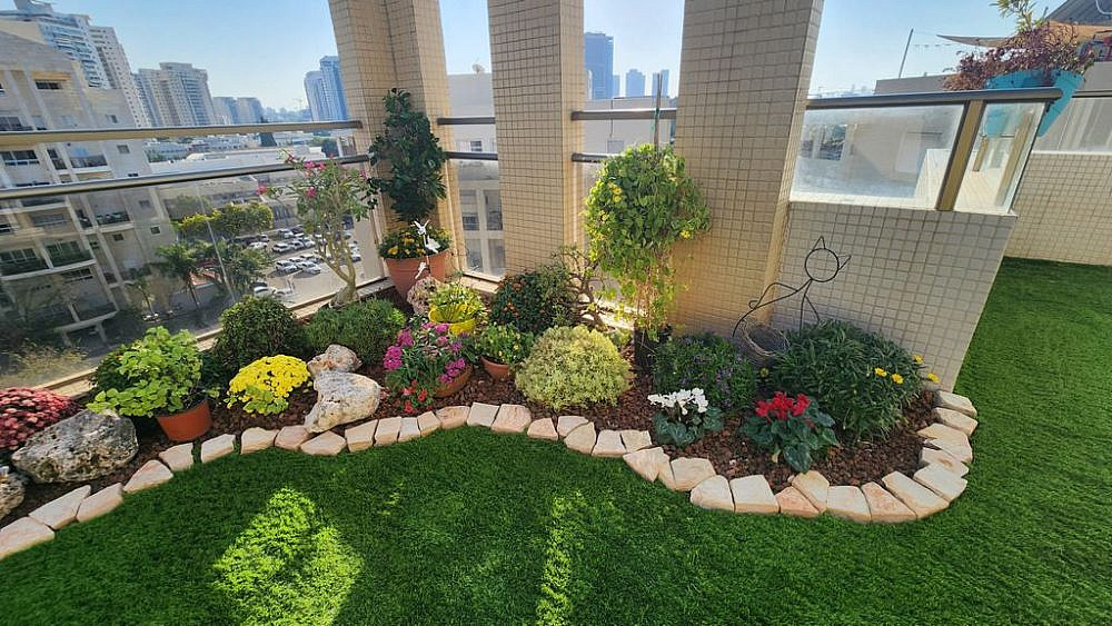 צילום: דשא קבוע