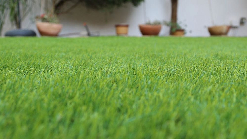 צילום: דשא קבוע