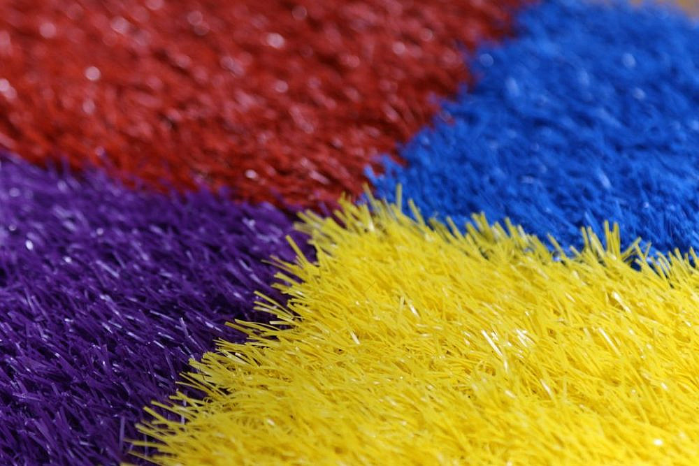 צילום: דשא קבוע