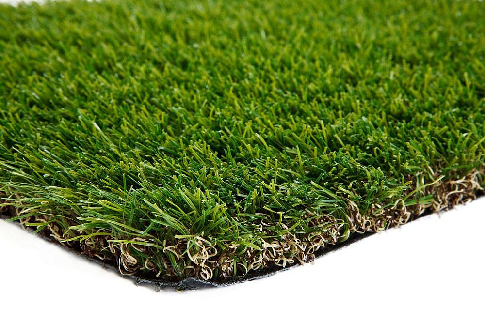 צילום: דשא קבוע