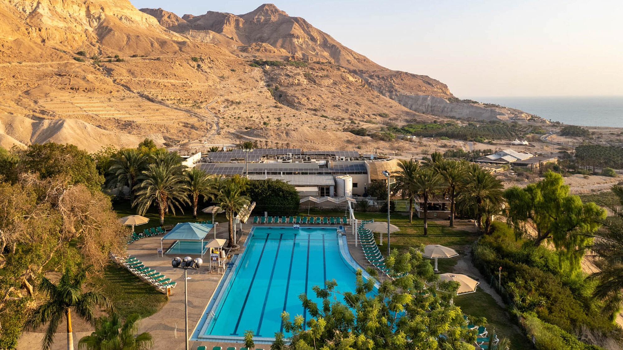 מלון עין גדי | צילום: איה בן עזרי מלון עין גדי | צילום: איה בן עזרי