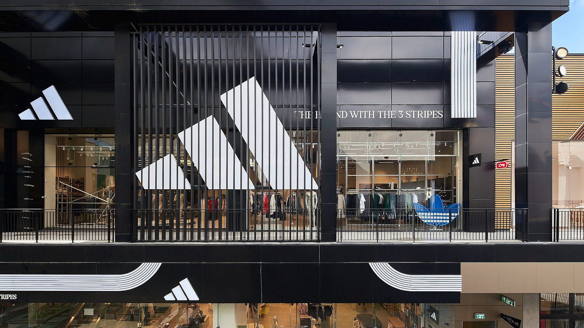 ביג פאשן גלילות | צילום: ליאור טייטלר