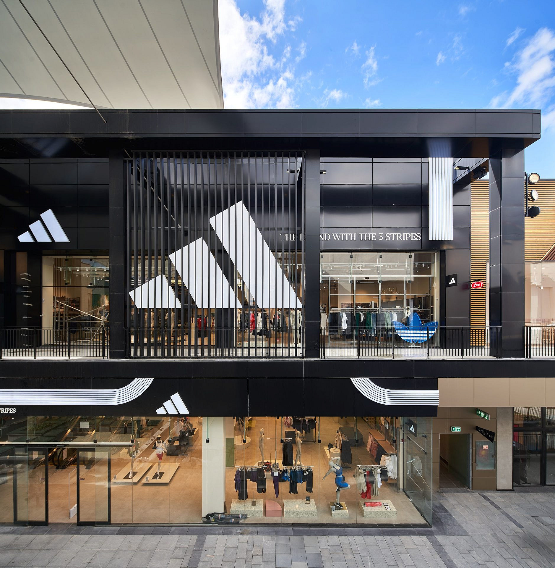 ביג פאשן גלילות | צילום: ליאור טייטלר