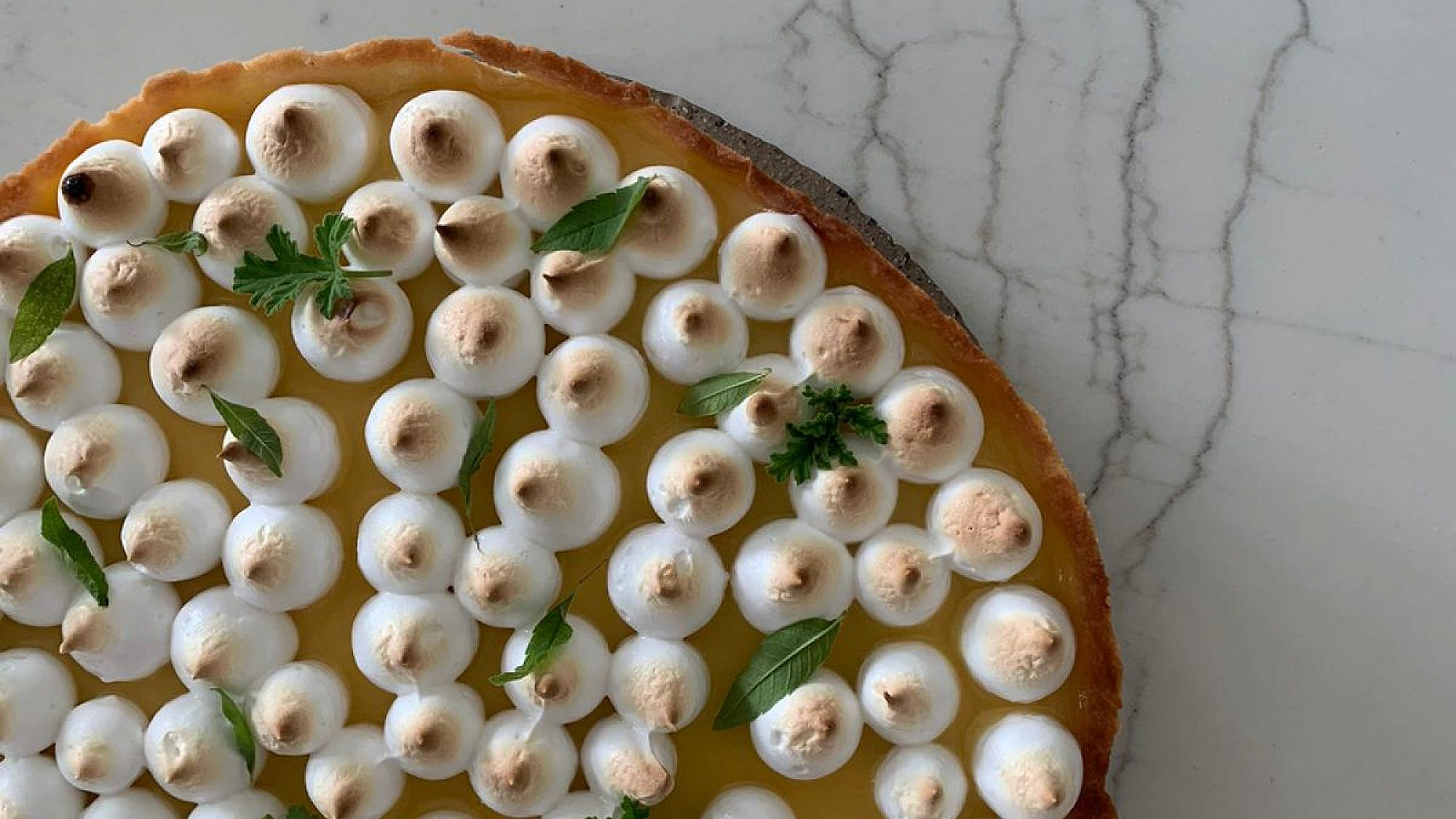 פאי לימון של דיויד פרנקל | צילום: דיויד פרנקל