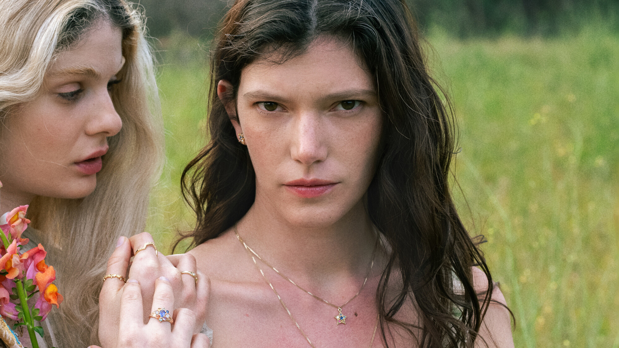 צילום: אלון שסטל